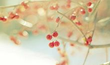 最容易离婚的三大生肖，婚姻多变，感情坎坷