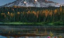 11月开门迎财神，横财大爆发的生肖，万事亨通，未来幸福至极