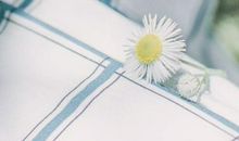 各血型的渣男语录曝光！女生周知