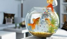 风水知识：家中明财位、暗财位怎样布置？