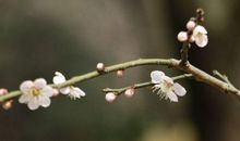 10月底财神赐福，大赚一笔的生肖，财运接2连3，一生大吉大利