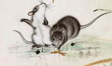 11月起不再在人海漂流的3生肖，遇见对的人，有爱陪伴不怕冷