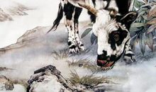 3大生肖苦过累过挣扎过，未来顺利顺心生好运