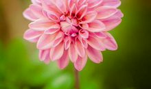 11月9号3生肖迎来极佳的财运，既能发家又致富，注定发达成功