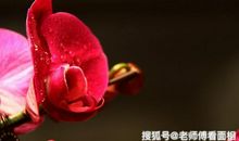 10月下旬起运势飙升，财气冲天的3大生肖，财富萦绕，生活美满