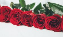 十二生肖中，下半年迎来开挂人生，财源稳定，细水长流的生肖