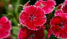 属兔的有福气了！11月天赐吉兆，事业一飞冲天，财运步步高升