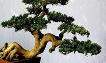 日子顺，心情好！未来5天，3大生肖有财来，钱多日子好！