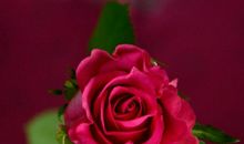 为人精明却爱装傻的3大生肖，大智若愚，你中招了吗？