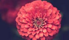 不仅靠谱顾家，而且40岁后很会赚钱的3大生肖男，你遇到了吗？