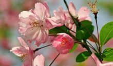 霉运转鸿运，喜发横财的生肖，11月16号起赚钱多多，福禄顺心