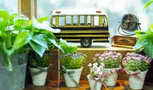 12星座“最强大脑”是什么