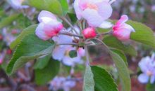 苦日子熬到头，好运来临的生肖，明年开始福气爆棚，财路越走越顺