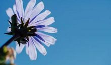 嘴上挂着穷，实则很有钱的四大生肖，你身边有这样的朋友吗？