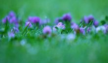 11月来势汹汹，贵人相助，喜事多多的4个生肖