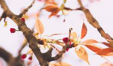 9月，好运连连，爱情事业双丰收，钱越来越多的4个生肖