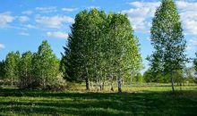 三生肖“福气缠身”11月天降大喜，财运攀升，金银滚滚躲不掉