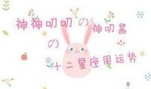 神叨酱塔罗占卜（11.4-11.10）12星座周运