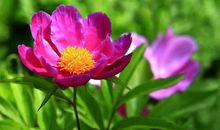 三生肖从9月开始财运亨通，赚大钱发大财，日子富得流油