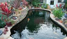 环境风水顾问李亮德:别墅庭院鱼池风水布局，让你风生水起！