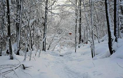 2019年12月7日大雪是破土修坟好日子吗,大雪是反映什么节气？(图文) 1