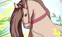 聚会中的“润滑剂”，人气棒性格好的4大生肖，你身边有吗？