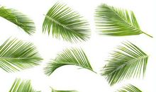 9月1号喜鹊叫，9月2号金银滚滚躲不掉，家有三生肖，9月左右逢源，多金又多福