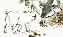 在爱情里能读懂爱人，婚姻能白头到老，福禄走上坡的四大属相