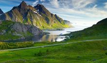 11月起富贵多金，富贵难挡，风生水起的4个生肖