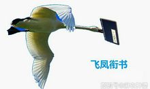 原创 “飞凤衔书”，两广风水第一格？