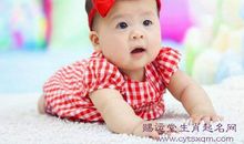 生肖姓名学属虎案例大全