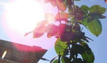 11月起财运好到不敢招惹的3生肖，往后财库丰盈，钱财花不尽