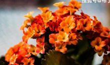 恭喜四生肖事业上一帆风顺，10月29号开始生活红红火火，个人财路大开!