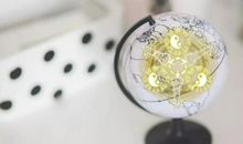 家中植树风水，原来是这样的……