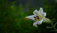 下半年，3生肖脱离苦海，升职加薪，升官三级，财富接回家