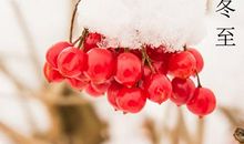 2019猪年冬至节气酉时出生喜用神是金吗怎么看？(图文)