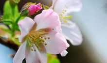 11月底开始招财纳福，吉星加持，事业蒸蒸日上，钞票大赚的生肖