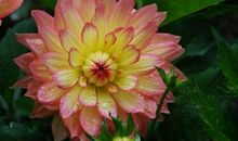 恭喜四生肖财运一路飙升，11月7号开始前途步步高升，人生不平凡!