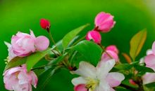 4属相再过一周好起来，财运指数上涨，大发横财，潜力无限