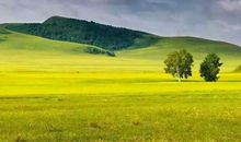 嘴巴毒、脾气臭的3生肖！但骨子里都是心软善良之人