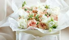 求爱！十二星座的最佳时间