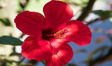 恭喜四生肖偏财接连不断，11月7号开始前途步步高升，一生会有好运庇佑!