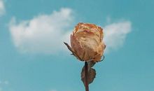 因为朋友常常让爱人生气，友情至上的三个星座！