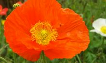 11月中旬4属相走好运，事事顺心，冲刺走上坡路，成就感满满