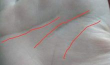 双手是川字掌女人概率大不大？婚姻如何