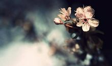 十二星座10月21日运势 情绪不稳榜：射手座、摩羯座、狮子座