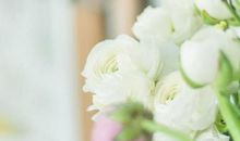 10月21日生肖运势：幸运数字：8、1幸运颜色：青色、黑色、翠色