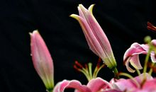 3大生肖在10月底，事业扶摇直上，财神关照