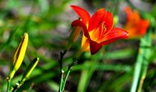 10月下旬，财运攀升，咸鱼大翻身，苦尽甘来的3个生肖