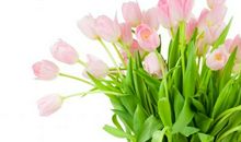 下周开始运势逆袭，出门遇贵人，福多事业旺，添财添喜的3大生肖